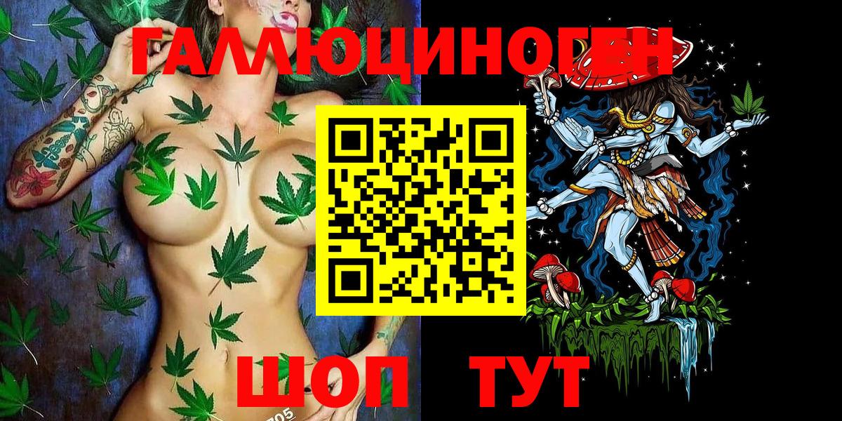 Новоалександровск  Галлюциногенные грибы Cubensis  Вход с VPN 